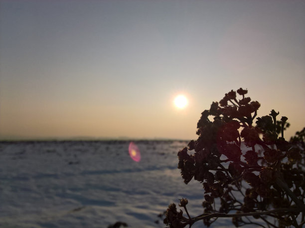 日落柴图片下载