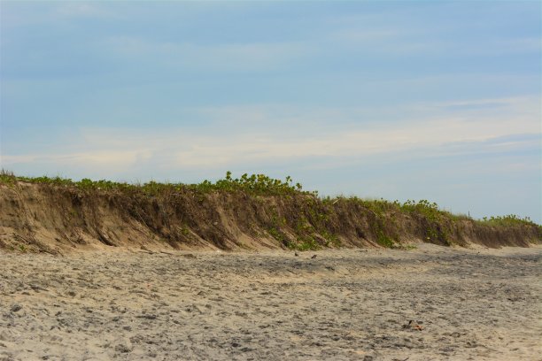 阳光海滩图片下载