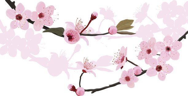 花树背景图片下载