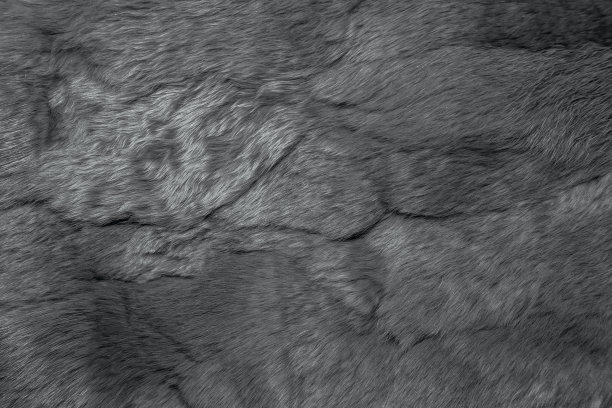 lapin毛皮纹理背景的特写图片下载