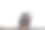 一只秃鹰停在一根干树枝上。图片下载