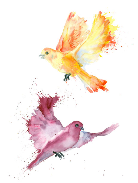 水彩小鸟。图片下载
