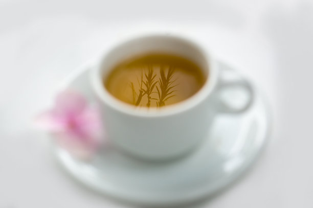 从菊花茶图片下载