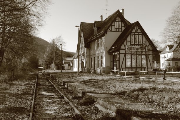 维拉塞纳·班霍夫图片下载