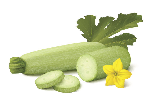 新鲜的浅绿色西葫芦，白色背景图片下载