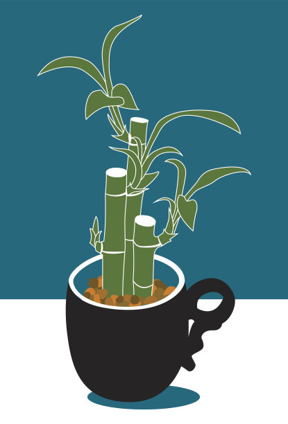 幸运竹室内办公室植物图片下载