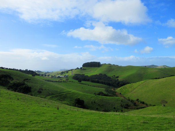 起伏的新西兰山图片下载