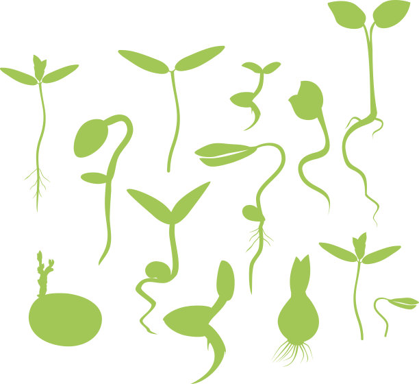 一组芽的剪影图片下载