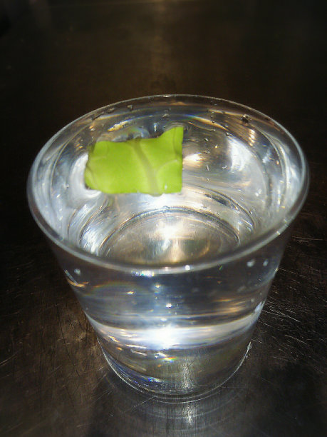 笼子里的生物图片下载