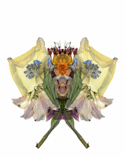 马特里巴图片下载