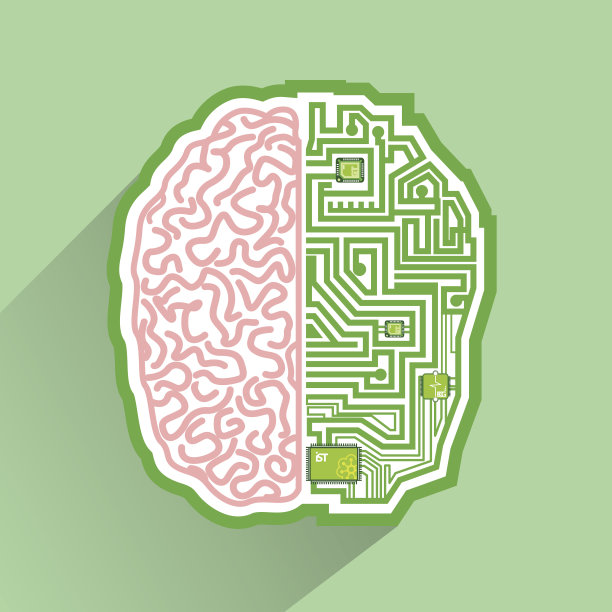 大脑电路图片下载