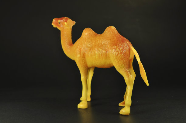 玩具骆驼棕色和黑色。图片下载