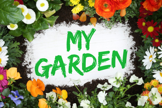 我的花园有花有花业余时间图片下载