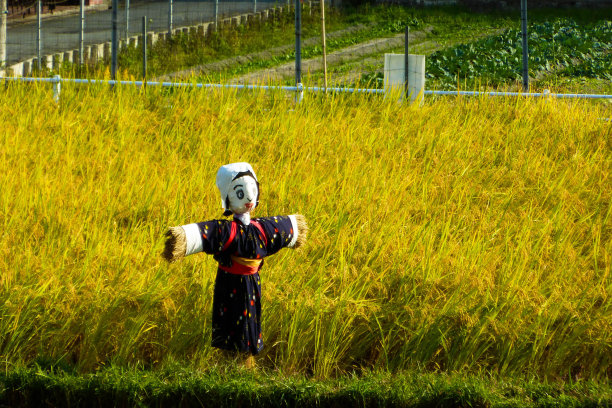 奈良的艺伎稻草人图片下载