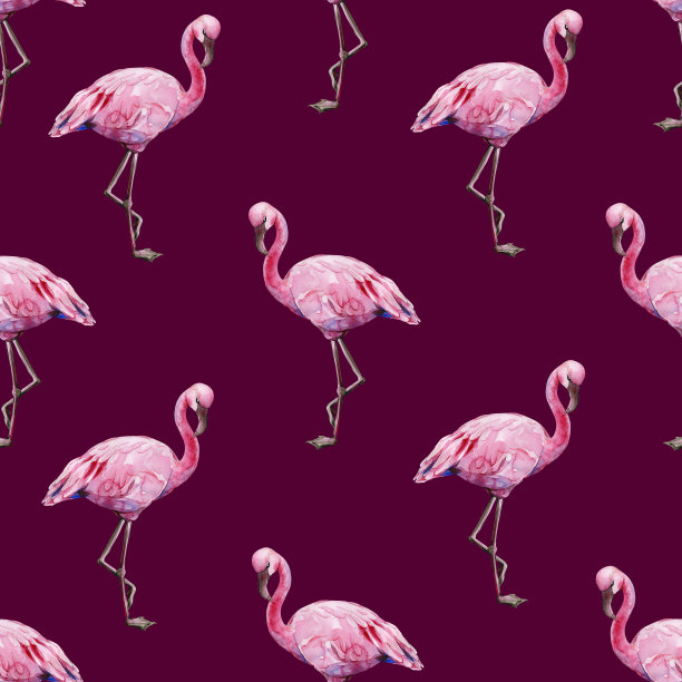 热带粉色火烈鸟水彩无缝图案素材图片