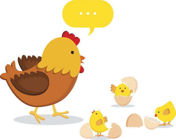 鸡的家庭图片下载