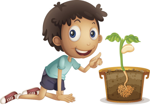 男孩在花盆里播种图片下载