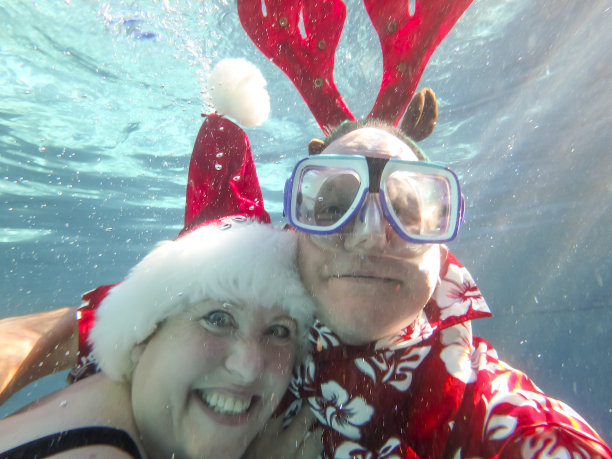 圣诞节一些水下图片下载