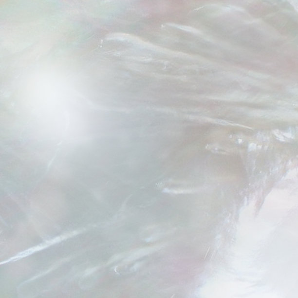 珍珠的背景图片下载