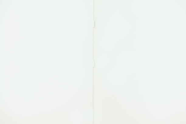 绿叶空纸便条图片下载