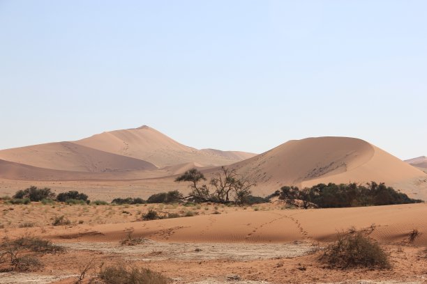 晴空下的沙漠风景图片下载