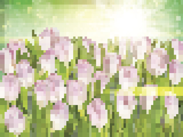 新鲜种植郁金香。每股收益10图片下载