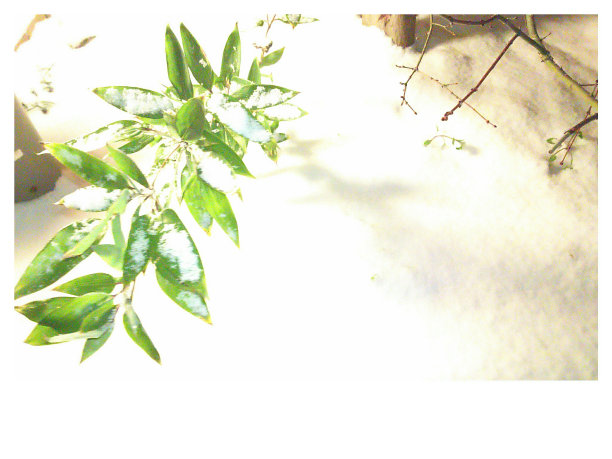 克服困难是很难的图片下载