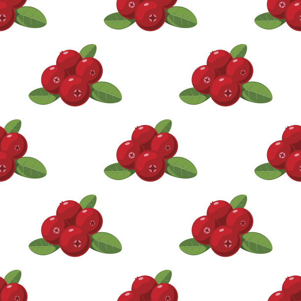向量无缝模式。卡通的蔓越莓与绿叶孤立图片下载