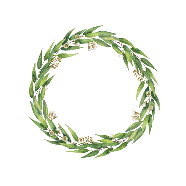 水彩手画圆形花环与桉树叶和树枝。素材图片