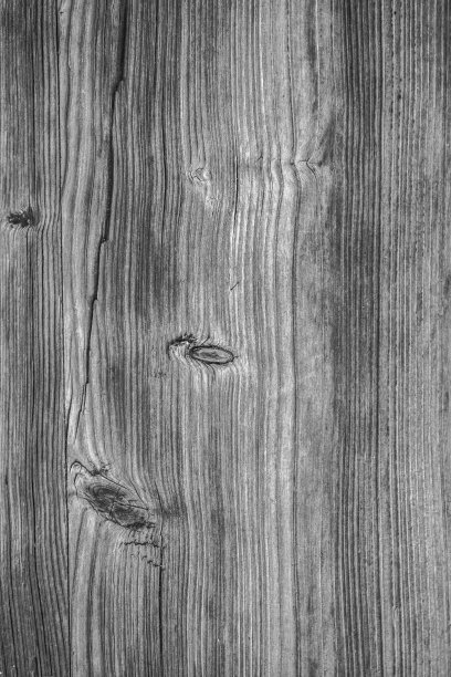 木材纹理第六部分图片下载