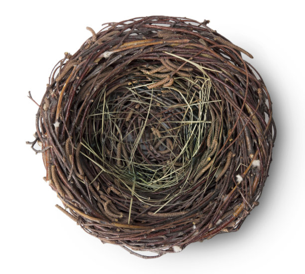 鸟空巢上鸟瞰白皑皑。图片下载