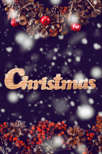 圣诞贺卡与花圈隔离复制空间图片下载