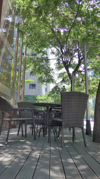 繁忙城市的休息区。周围的树图片下载