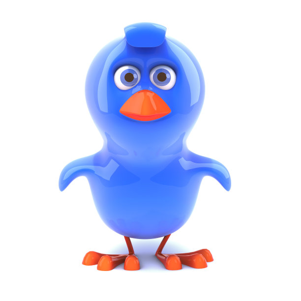 3 d蓝色鸟图片下载