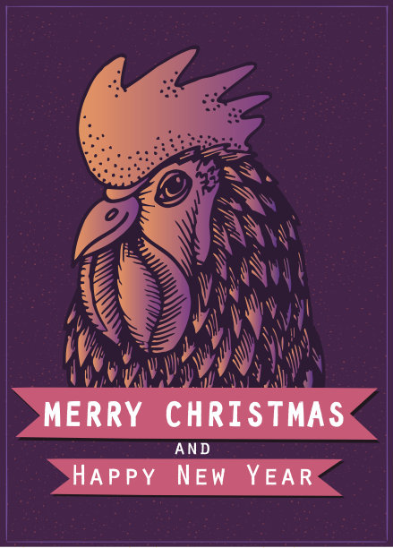 矢量彩色公鸡为2017年的新年黑暗图片下载