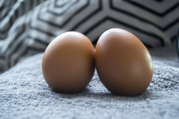 棕色的鸡蛋图片下载