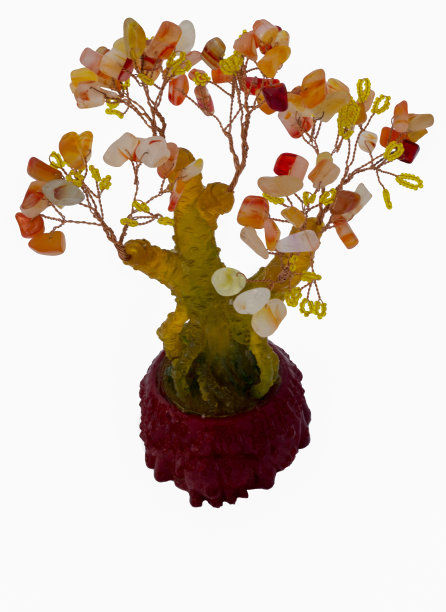 货币的家谱图片下载