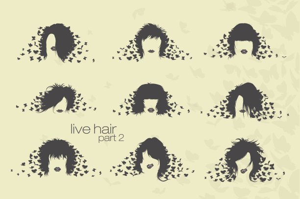 女人的发型和头发松散的蝴蝶图片下载