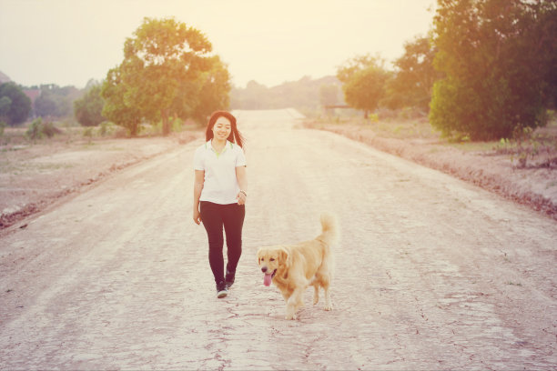 友谊女人和狗金步图片下载