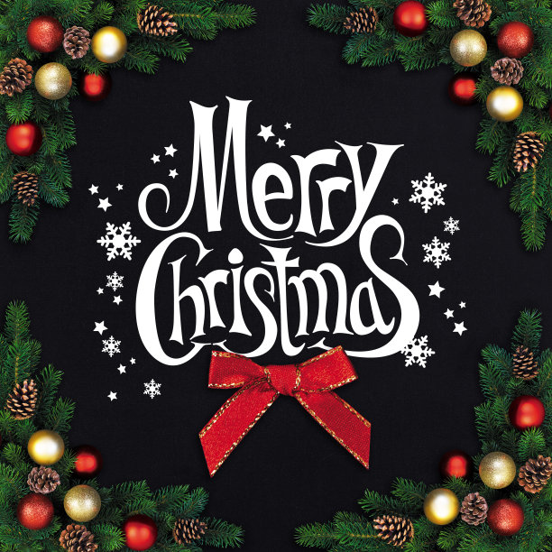 圣诞节冷杉分支图片下载