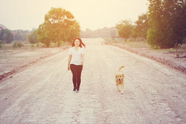 友谊女人和狗金步图片下载
