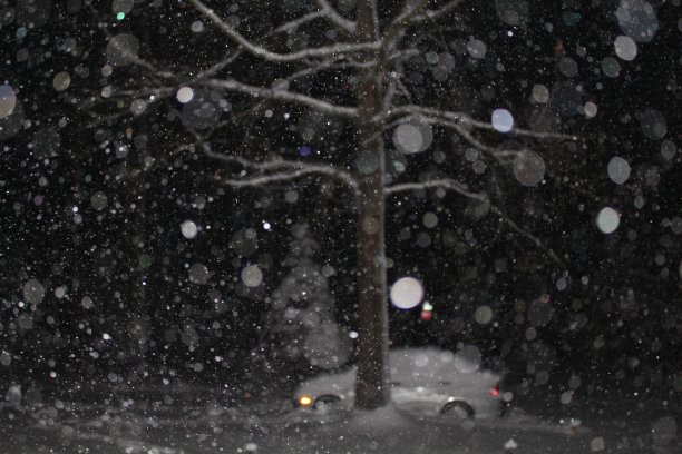 弗吉尼亚的雪夜图片下载