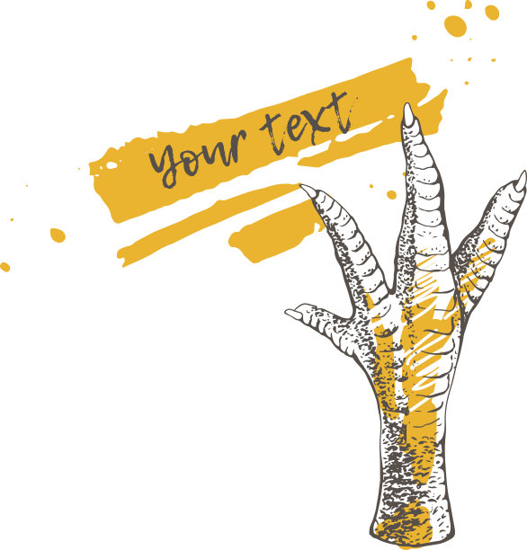 鸡爪或火鸡爪图片下载