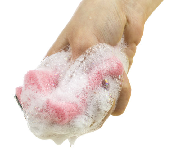 在白色背景上，手里拿着海绵图片下载