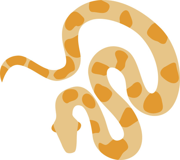 金蟒网白化蟒蛇野生动物自然蛇载体图片下载