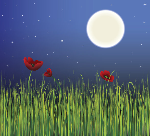 晚上的风景图片下载