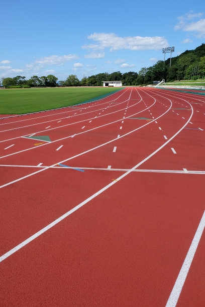 莱恩在体育场图片下载