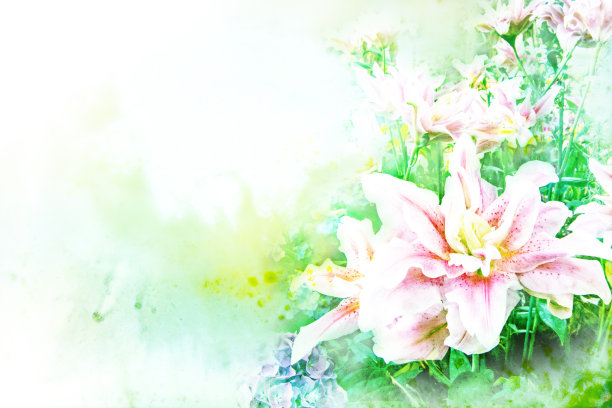 花水彩插图。图片下载