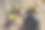 茶道照片素材ID：134090260
