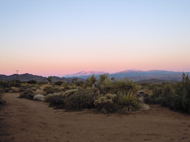 约书亚树，亚卡谷，加州-股票形象图片下载